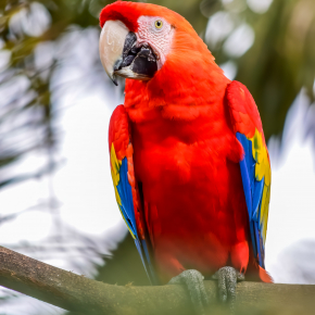 UN MONDO SENZA COLORE  UN MONDO TRISTE: IL 6 MAGGIO SI CELEBRA LA GIORNATA MONDIALE DEL COLORE